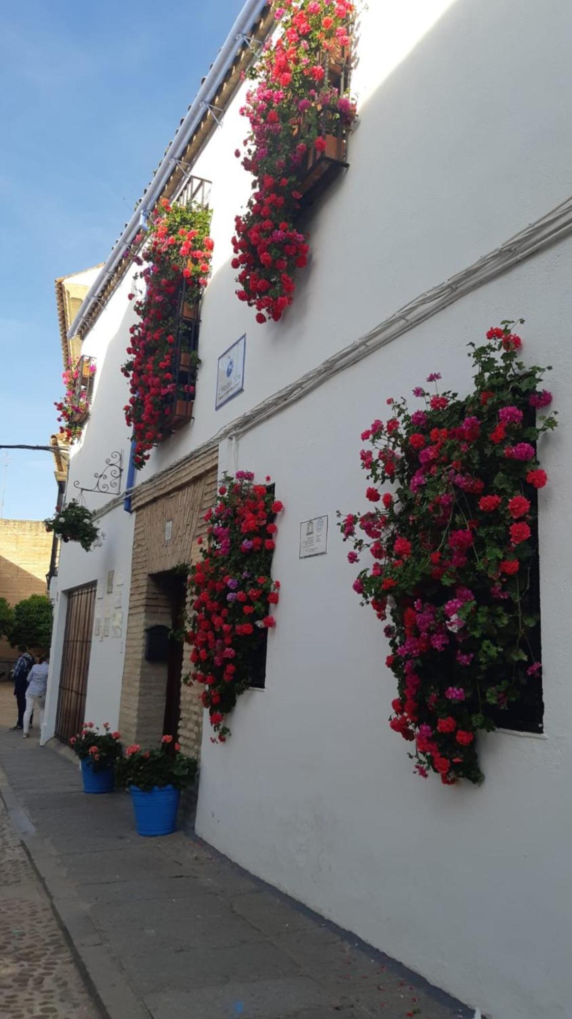 El Rincon De Jesus Y Loli Apartment Cordoba Exterior photo